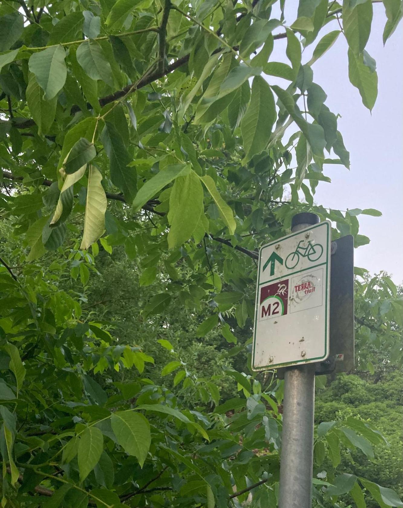 In Der Wassermuehle 멜레 외부 사진